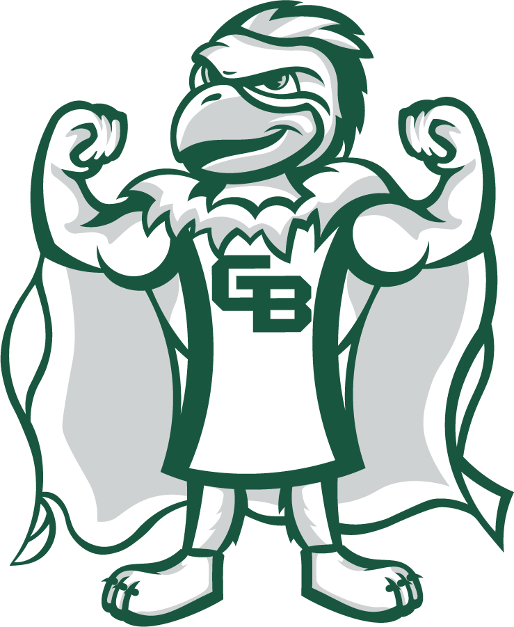 Wisconsin-Green Bay Phoenix 2020-Pres Mascot Logo v5 iron on transfers for clothing